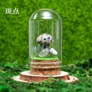 微信图片 20260420153037 398 48.jpg