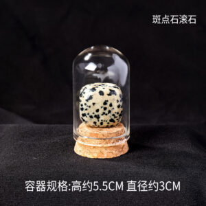微信图片 20260420153041 403 48.jpg