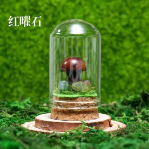 微信图片 20260420153047 412 48.jpg