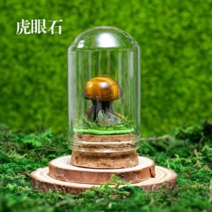 微信图片 20260420153050 413 48.jpg