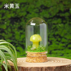 微信图片 20260420153058 423 48.jpg