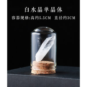 微信图片 20260420153104 429 48.jpg