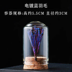 微信图片 20260420153106 431 48.jpg