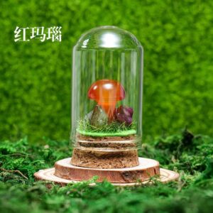 微信图片 20260420153110 437 48.jpg
