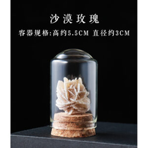 微信图片 20260420153132 465 48.jpg