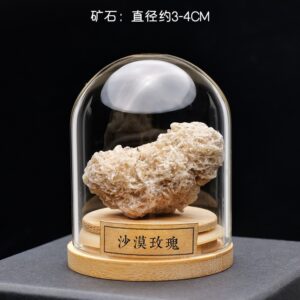 微信图片 20260420153143 478 48.jpg