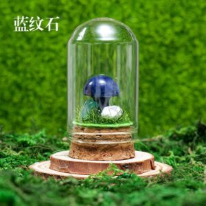 微信图片 20260420153319 531 48.jpg