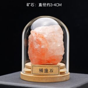 微信图片 20260420153323 536 48.jpg